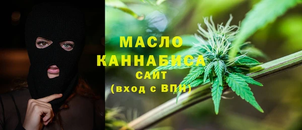 гашик Бородино