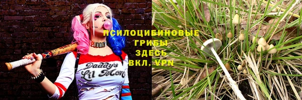 соль ск Бронницы