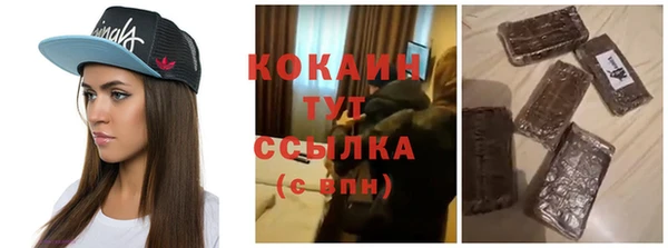 гашик Бородино