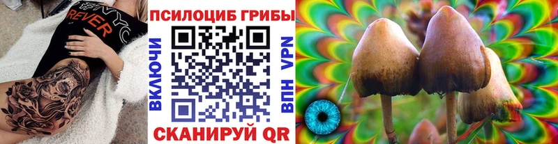 Псилоцибиновые грибы Magic Shrooms  Козловка 